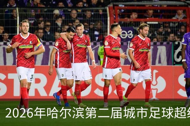 2026年哈尔滨第二届城市足球超级杯赛开赛
